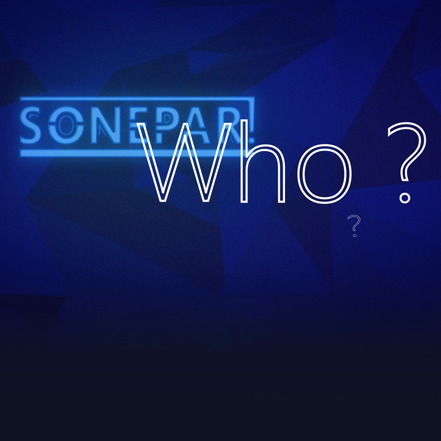 sonepar-we-are-sonepar-caribara-communication